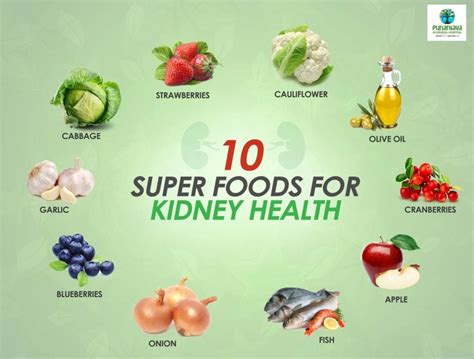 My 10-year-old cat was just diagnosed with chronic kidney disease, and I was. . What are the 10 best foods for kidney disease